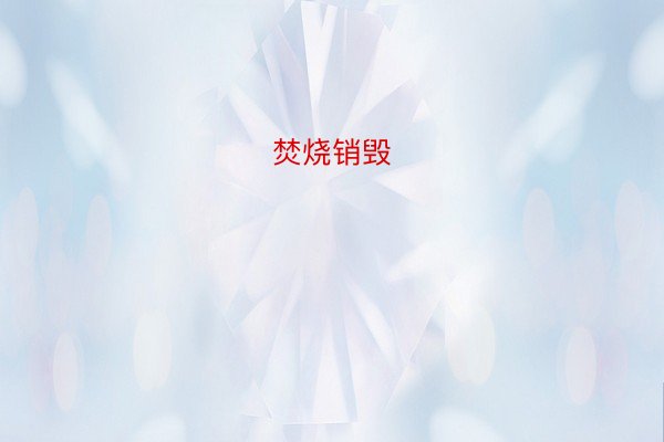 焚烧销毁